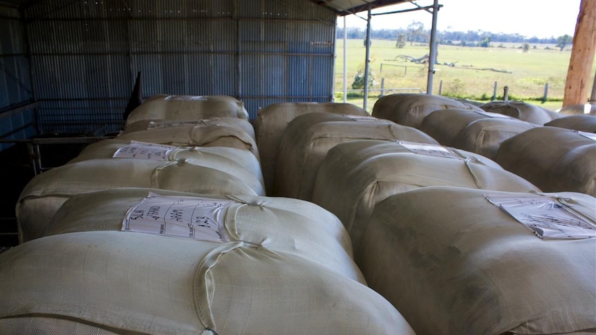 Bales of wool ready to transport to sale.