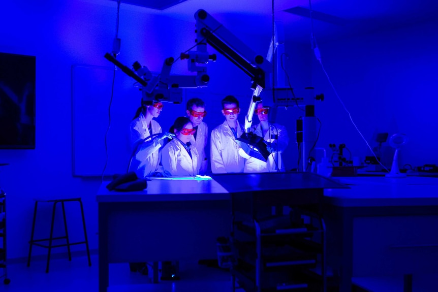 University of Canberra Forensics Laboratory