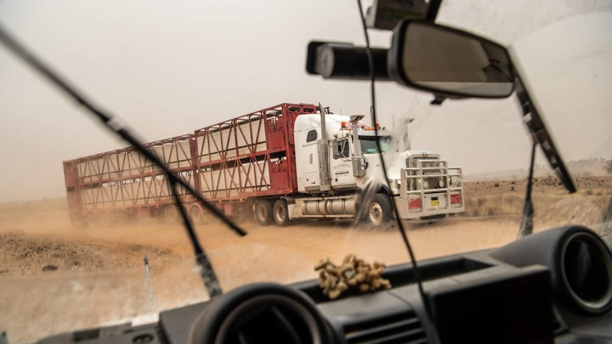 A truck used for carrying animal stock is seen on a back road during a red coloured dust storm in Parkes, NSW.