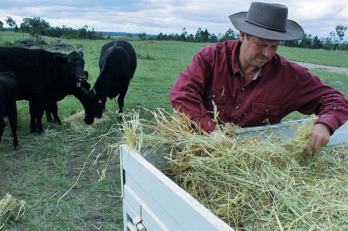 A man unloads hay from a ute