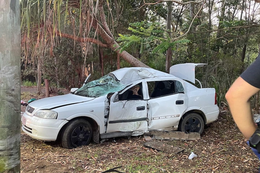 A car wrecked near some trees