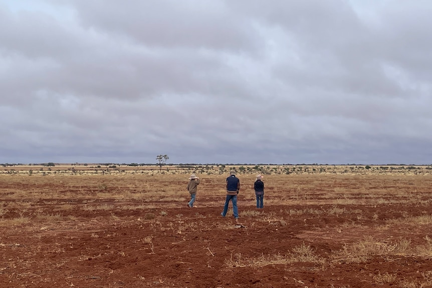 The McGlinchey children stand on open, flat plain at Badalia Station