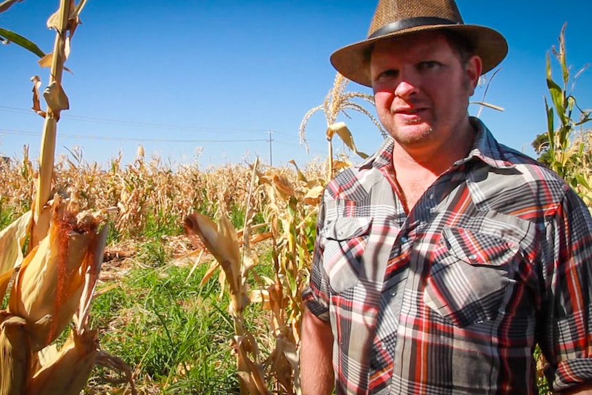 Broad acre farmer Dean Lampard.