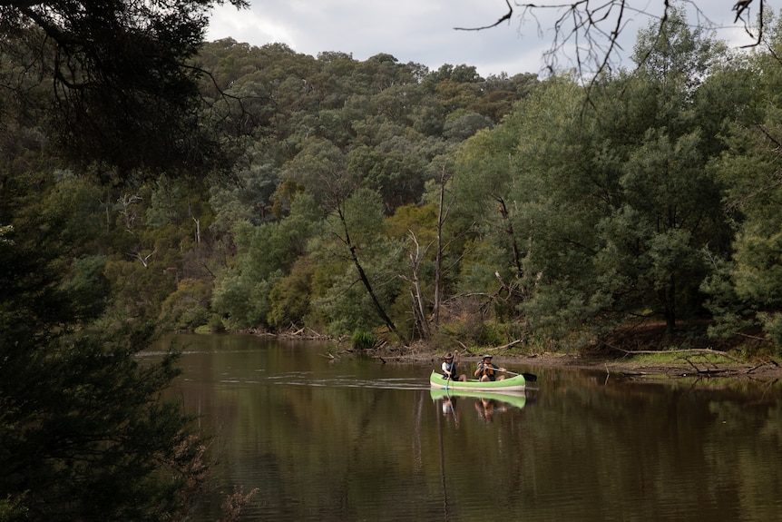 A man and a woman in a green and white canoe use their oars to turn their boat on the Yarra River.