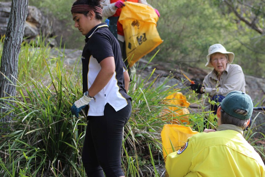 Landcare social activity