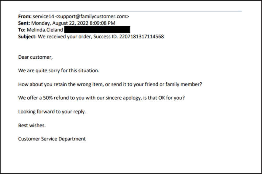 A screenshot of an email response from a scam website.