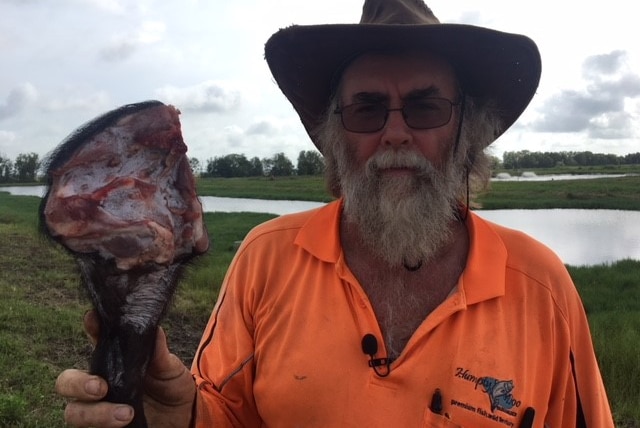 Humpty Doo Barramundi Farm manager Peter Fisher with a pig leg.