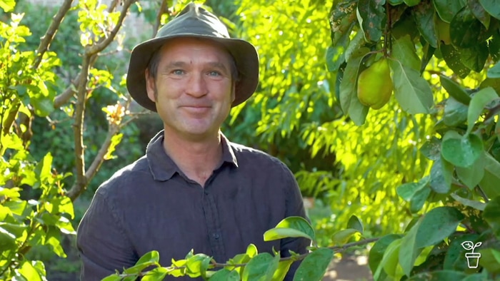 Man in hat standing next to a pear tree