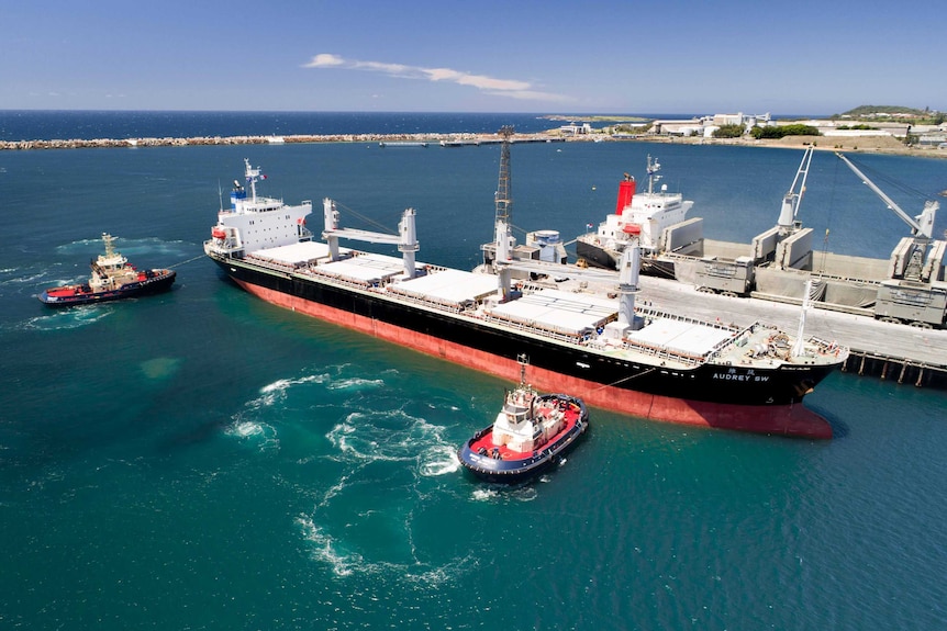 A cargo ship arrives at Port Kembla on the NSW south coast.