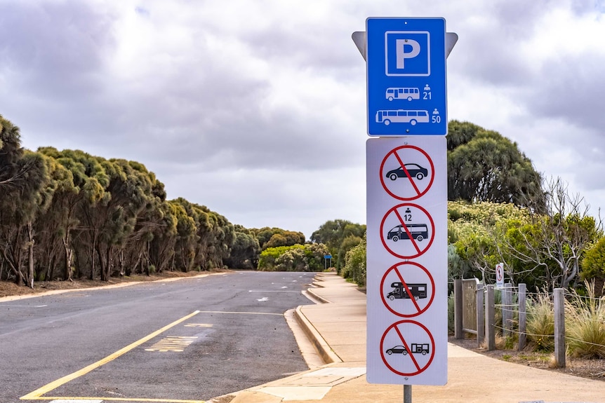 A bus parking bay sign and an empty parking bay surrounded by Narrow-leaved paperbark