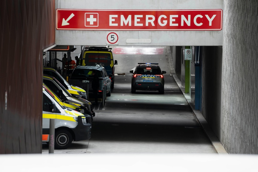 Several ambulances and a police car parked beneath a red emergency sign.