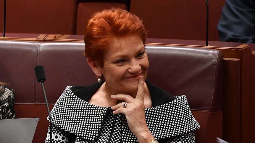 Pauline Hanson sits in the Senate, smiling and holding her hand on her chin.