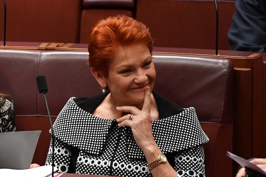 Pauline Hanson sits in the Senate, smiling and holding her hand on her chin.