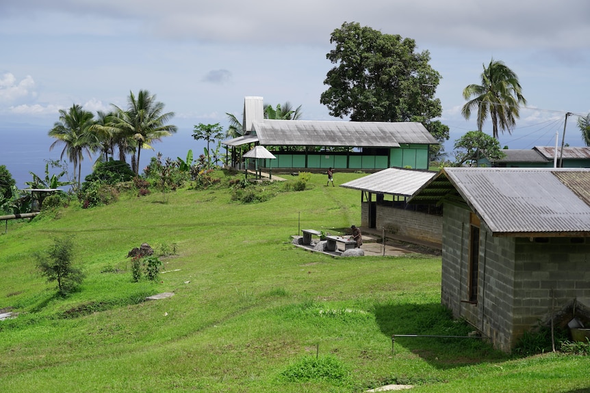 A collection of older buildings surrounded by lush green grass and palm trees, looking out to sea