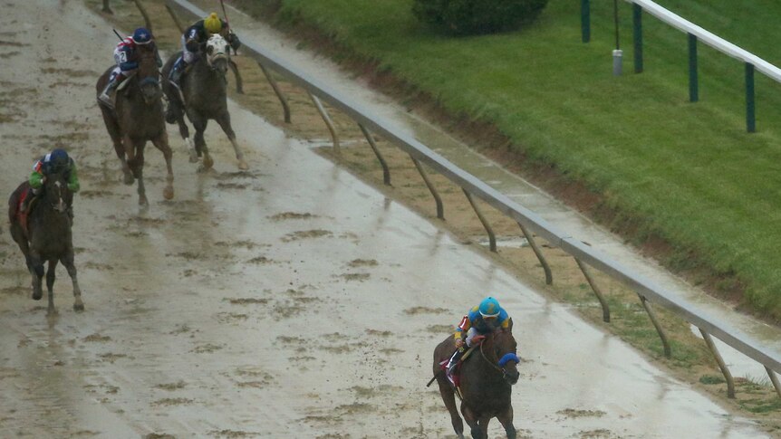 American Pharoah approaches the finish line to win the 140th Preakness Stakes at Pimlico.