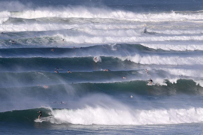 Lines of swell rolling in at Kirra with dozens of surfers in the line-up