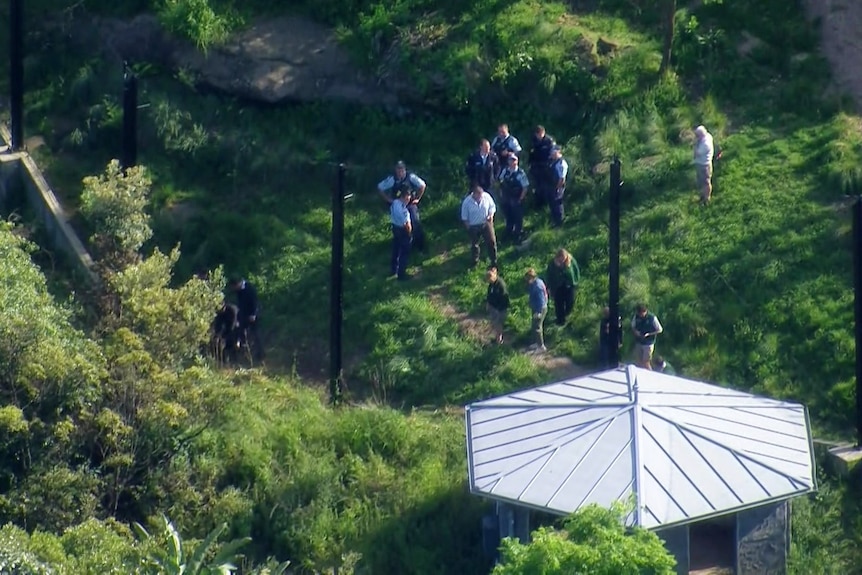 Police and Taronga Zoo staff in the lion enclosure