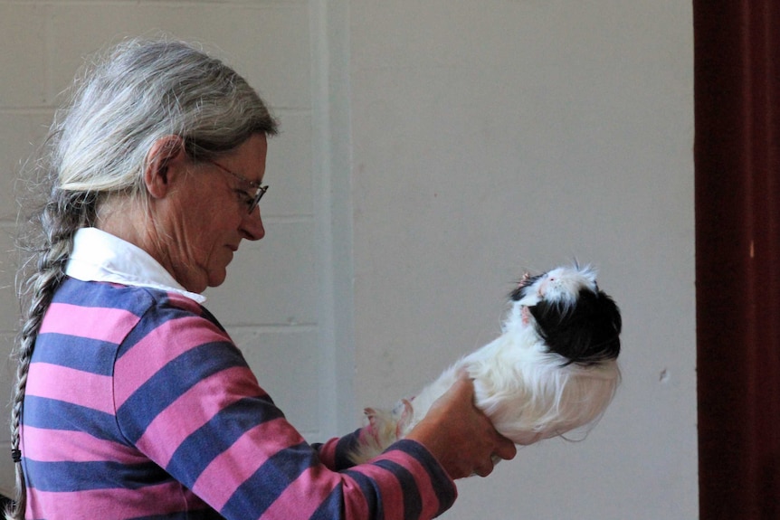 A woman holding a guinea pig to check under it