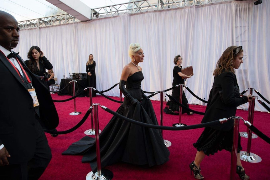 Lady Gaga walks on red carpet, between velvet ropes.