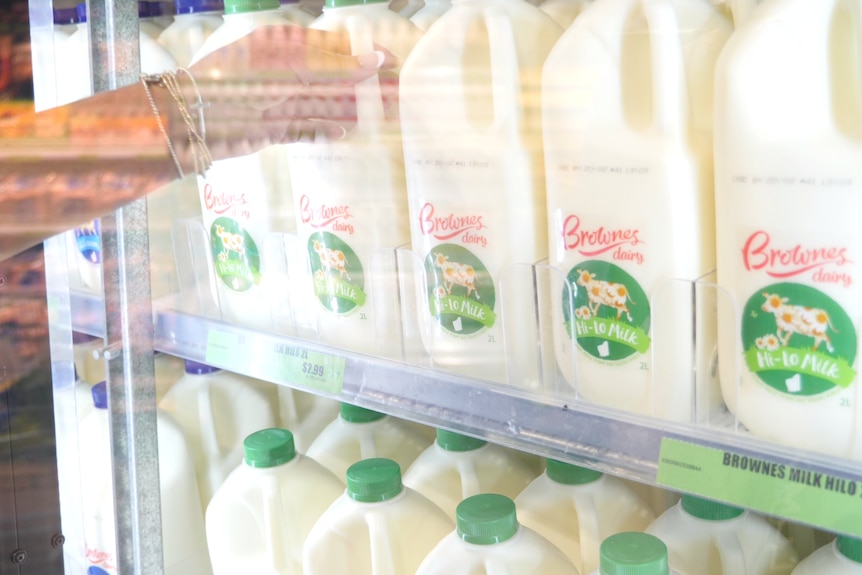 Bottles of Brownes milk in the supermarket shelf