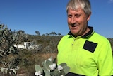 If the success of Victorian farmer Brett McDonald is anything to go by, the native Australian flower market is blooming.