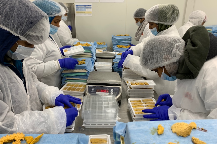 Workers wearing gloves stand on two sides of a table and carefully remove the roe from sea urchins