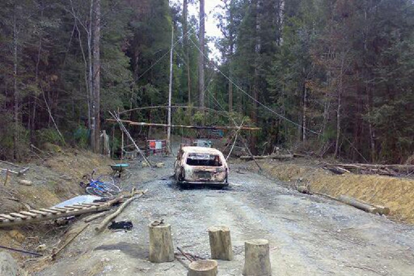 Violent clashes in Tasmania's forests