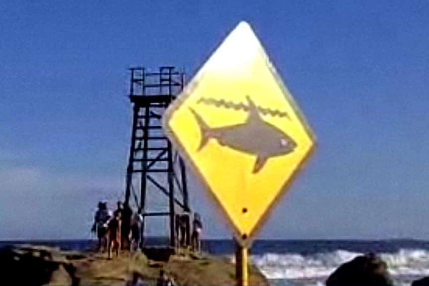 A sign warning of sharks stands at Redhead Beach in Newcastle.