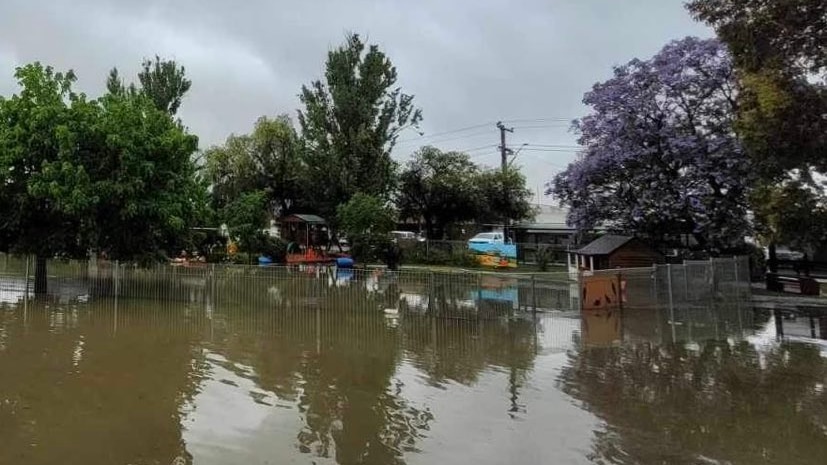 image of backyard flooded