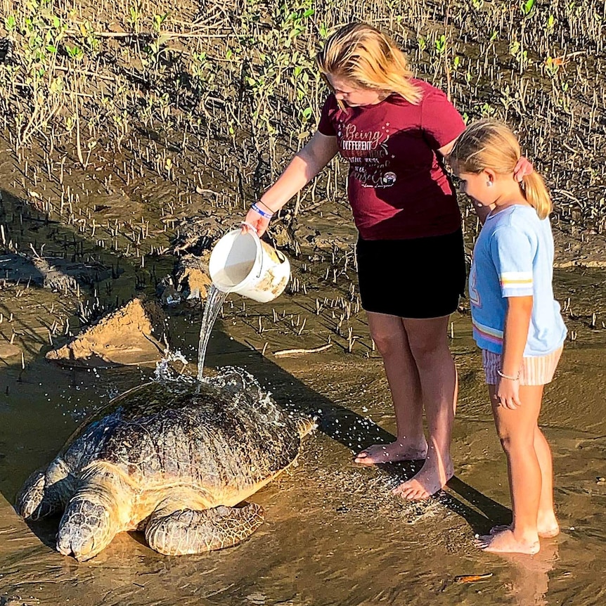 An injured turtle on the Mackay coast is assisted by a mother and daughter.