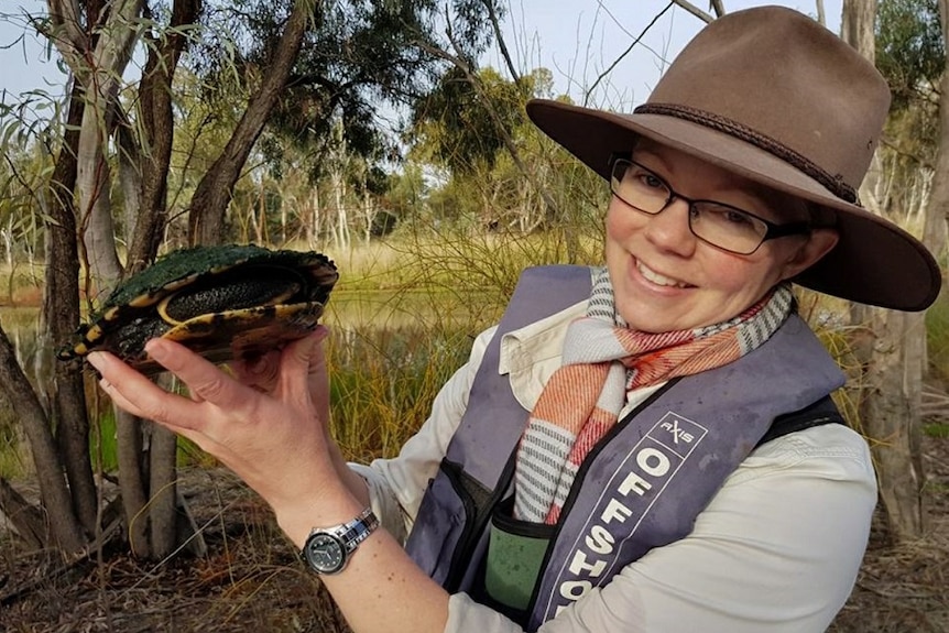 Natural Resources SA Murray-Darlin Basin Wetland Project Officer Courtney Monk holidng up a long-necked turtle.