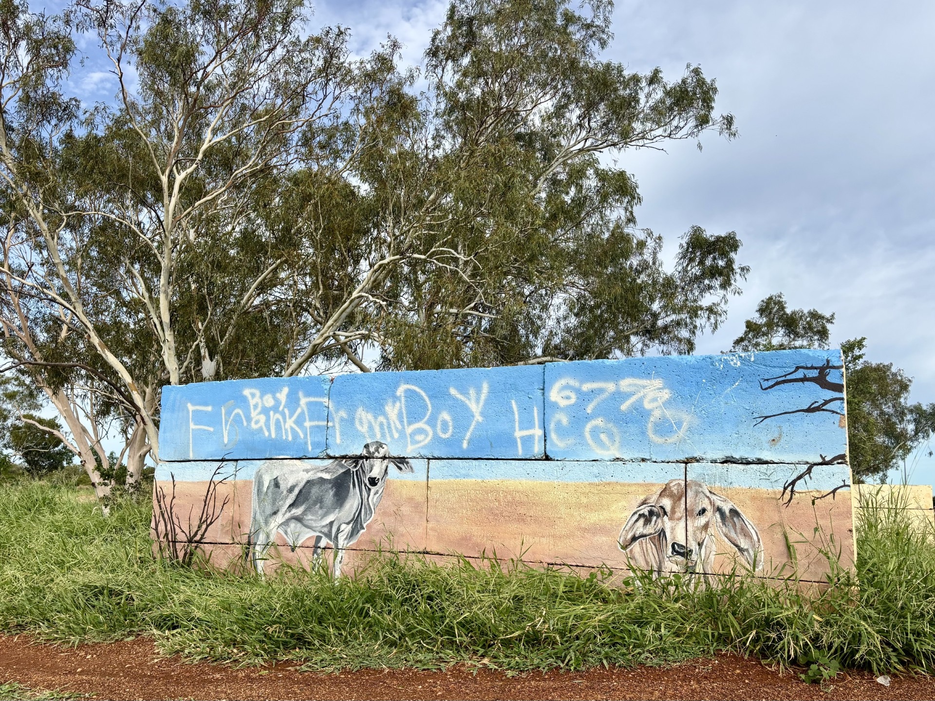 Mural con vacas pintado con HCQ 6770