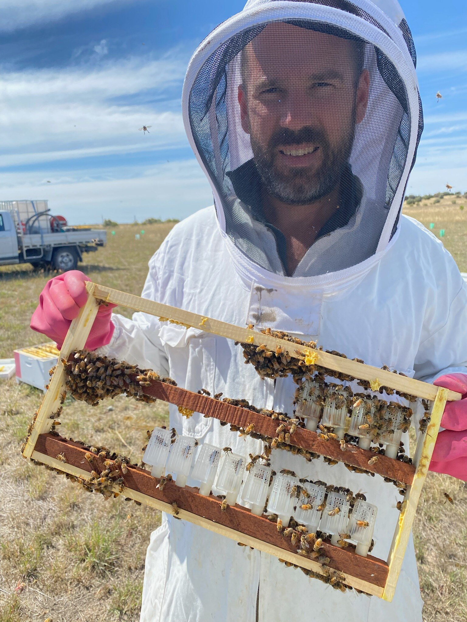 A bearded man in a beekeeping suit stands in a paddock beneath a sunny sky.