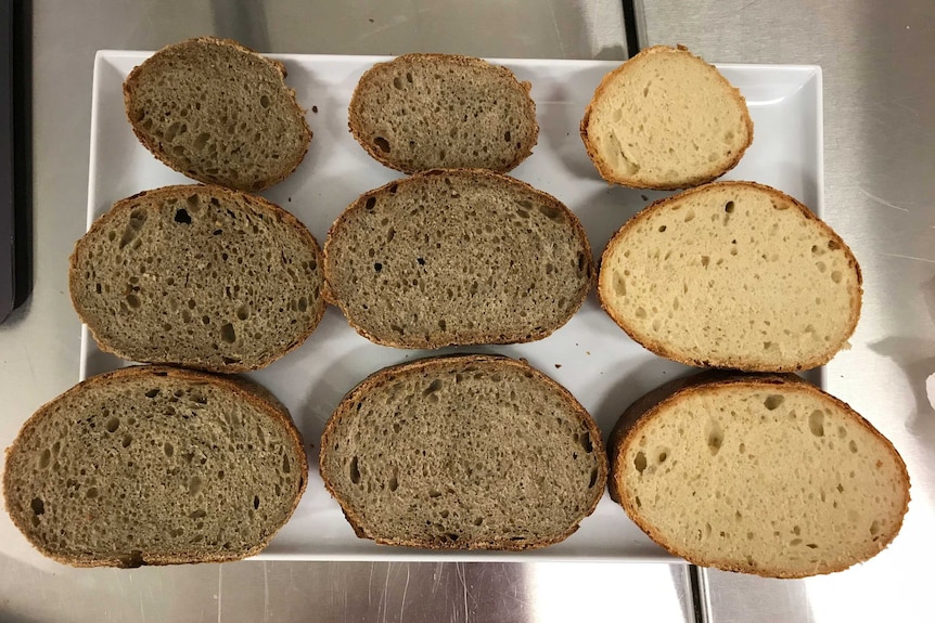 Slices of bread in varying colours made from different grains are placed on a plate.