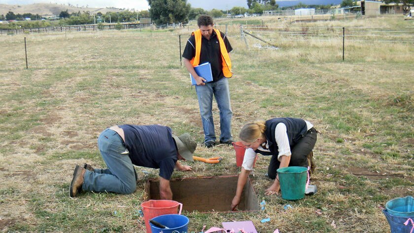Workers at an Aboriginal artefacts dig at Brighton bypass in southern Tasmania.