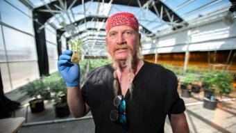 A man holds a small weed plant