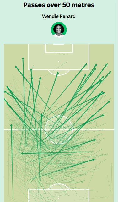 A field map showing the location of Renard's passes, emphasising the passes of 50 metres or more