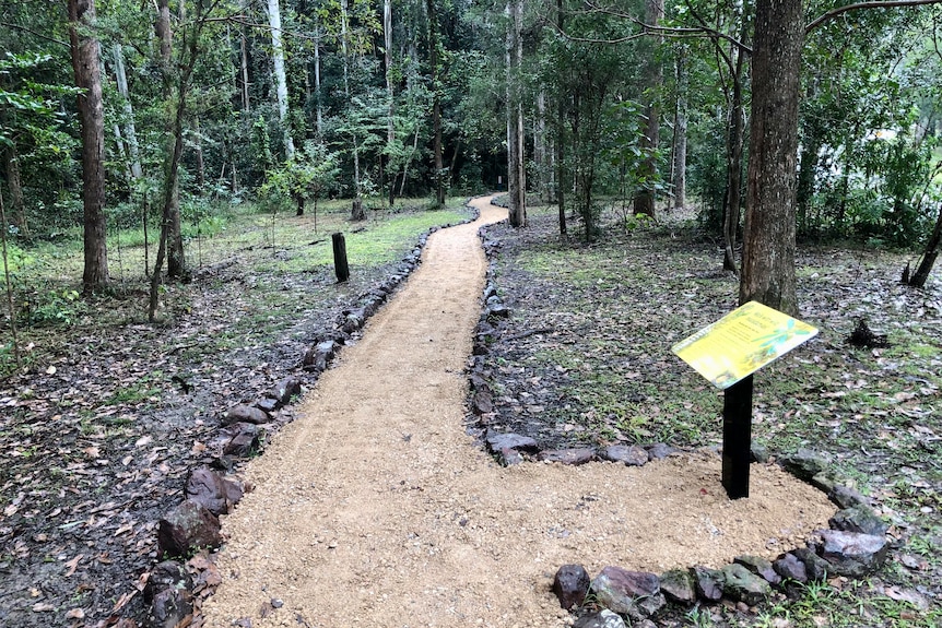 A flat sandy walkway leading into the rainforest.