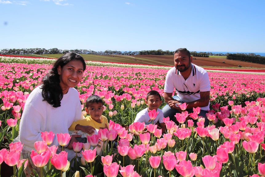 A family kneel in a field of pink tulips and smile.