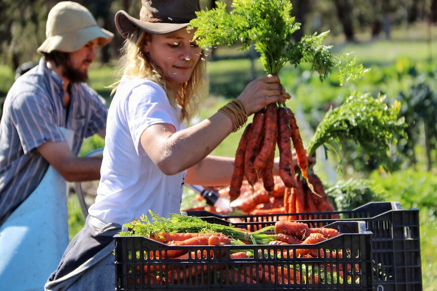 A woman holds up a bunch of carrots, with a man in the background.