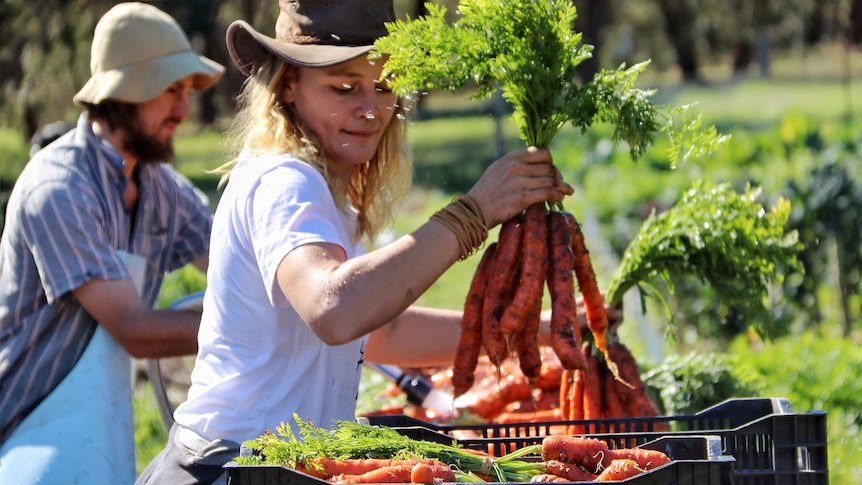 A woman holds up a bunch of carrots, with a man in the background.
