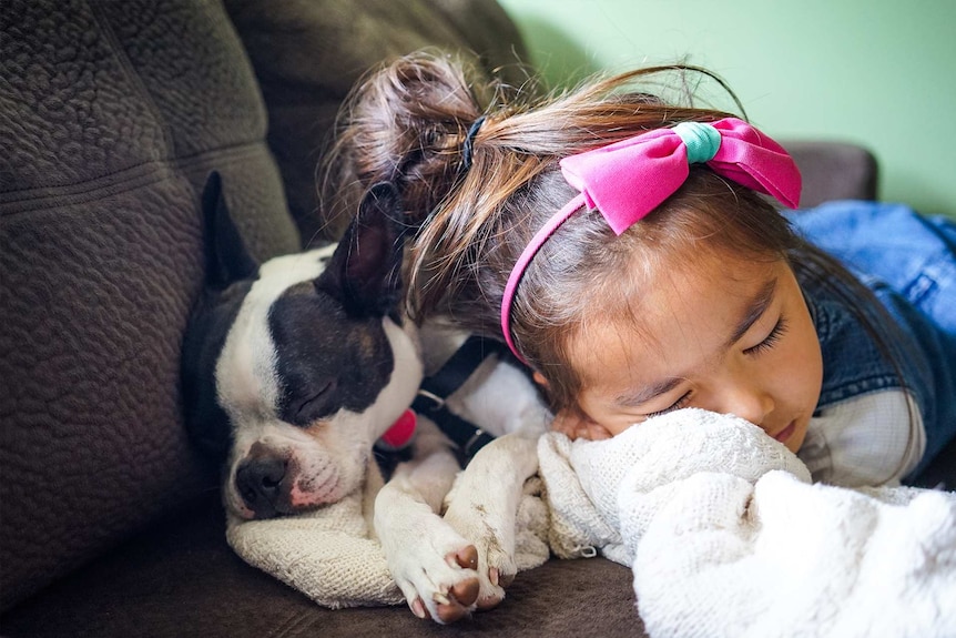 Young girl napping on the couch and throw blanket alongside a dog to depict how often to wash everyday items.