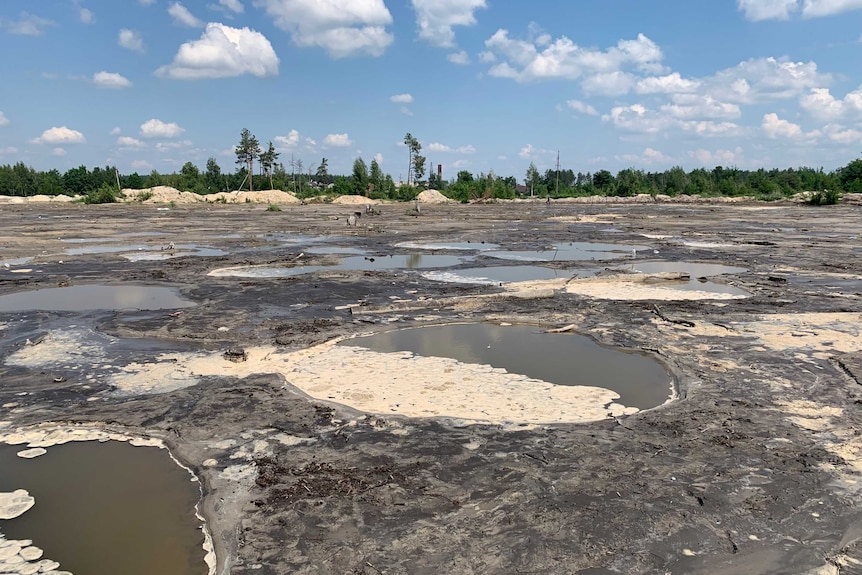 Holes in the mud filled with water on a bare expanse fringed with trees.