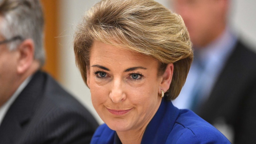 Michaelia Cash looks determined during a session in the Senate.