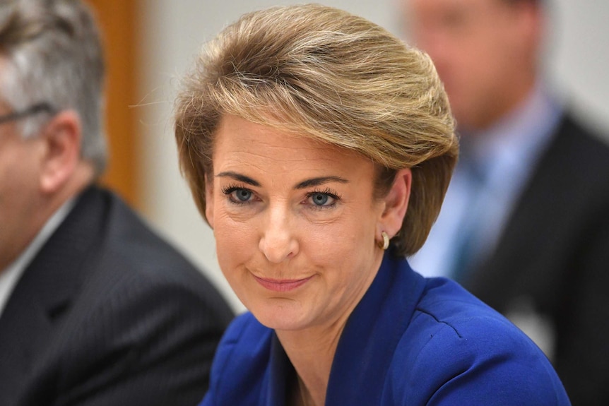 Michaelia Cash looks determined during a session in the Senate.