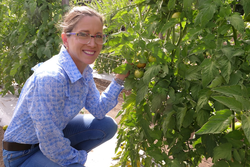 Colette Williams kneels in front of a tomato plant holding one of the tomatoes, she is smiling