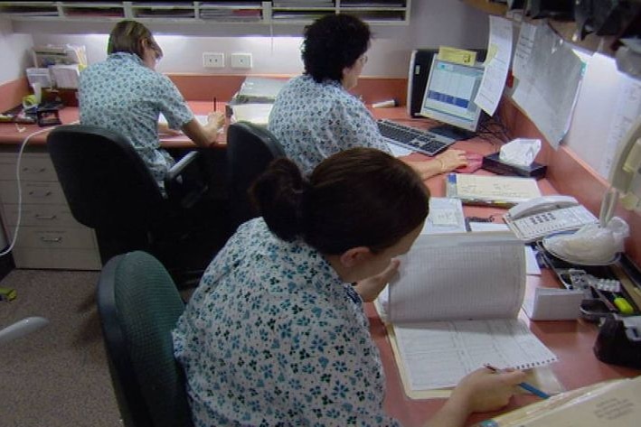 Three nurses sitting in front of computers in a nursing station in a hospital in Qld