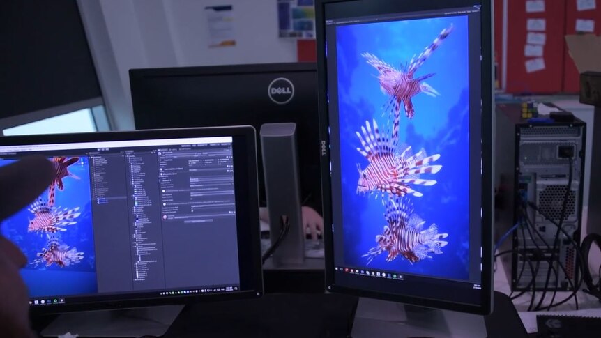 A developer on a computer creating a fish on a screen.