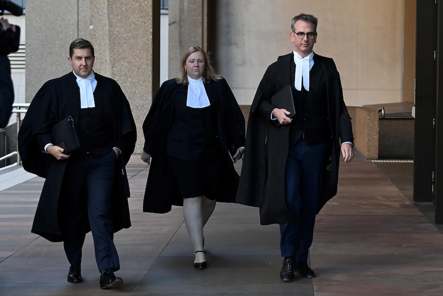 Barristers arrive at court