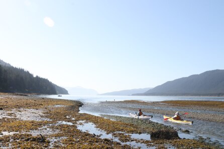 The two kayakers departing Juneau, Alaska, flanked by mountains on either side.